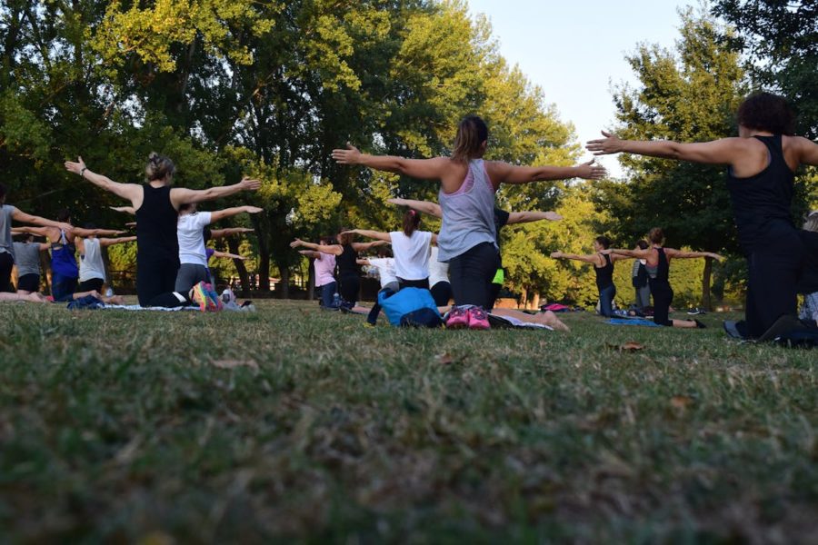 Un cours de yoga se fait dehors, dans un parc arboré.